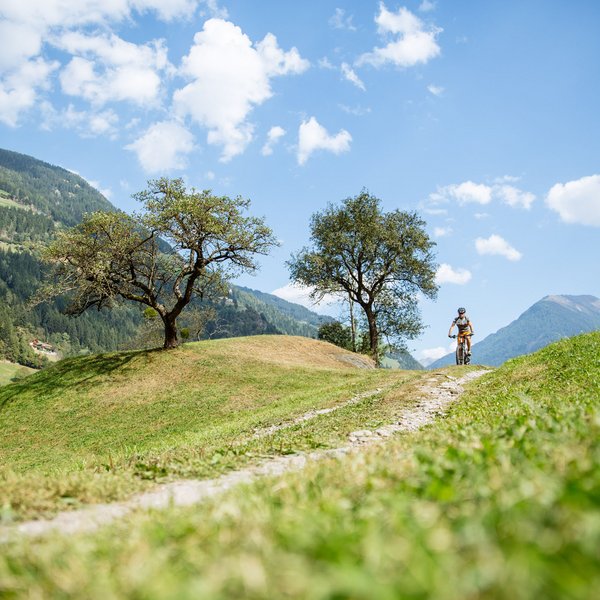 Le foto più belle del nostro luxury resort