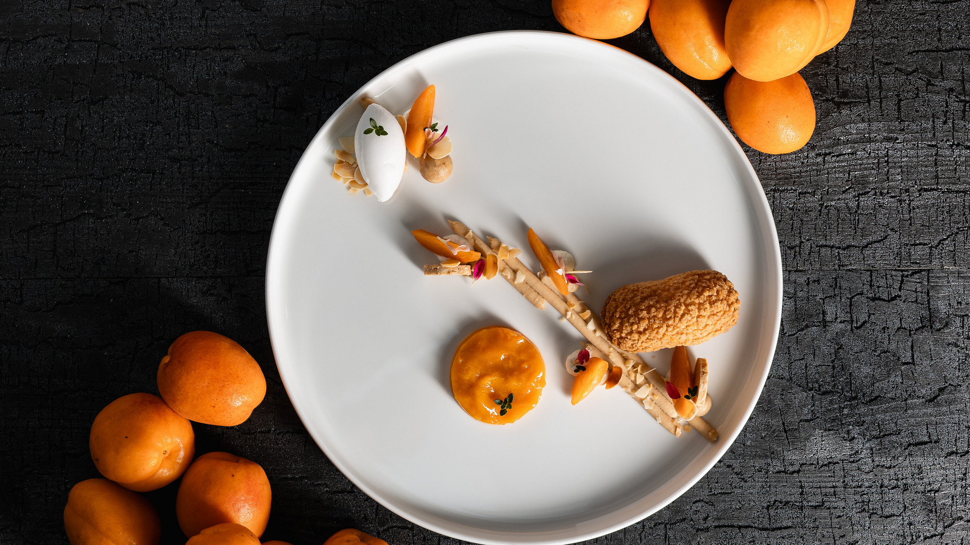 Exquisite culinary creations at their best Exquisite culinary creations at their best