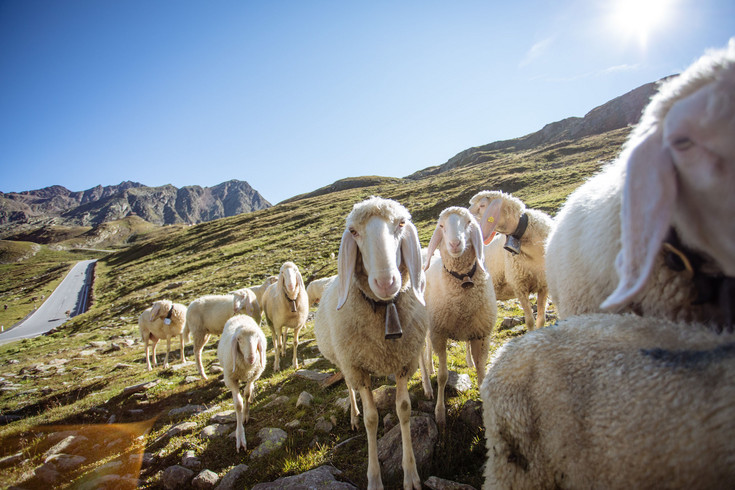 Le Val Passiria idyllique au Tyrol du Sud