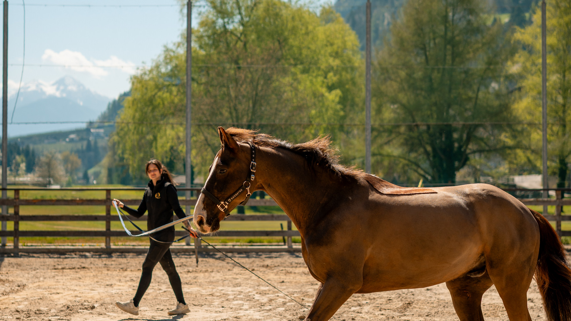 Se remettre en selle en vacances à cheval au Tyrol du Sud
