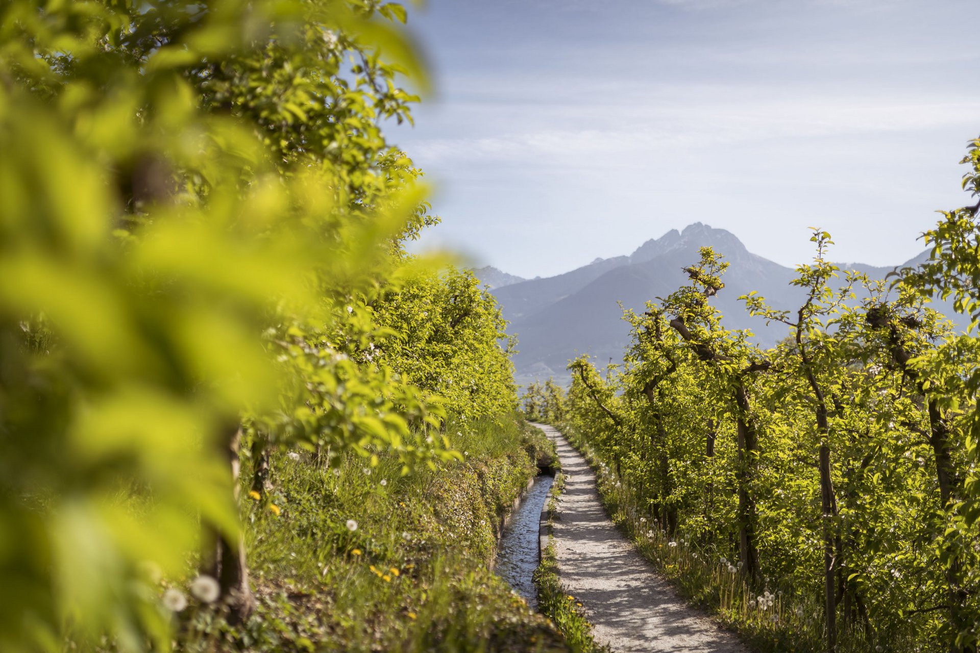 Hiking holiday in South Tyrol: Val Passiria/Passeiertal