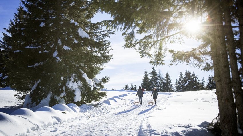 Die Kurstadt Meran zum Greifen nah