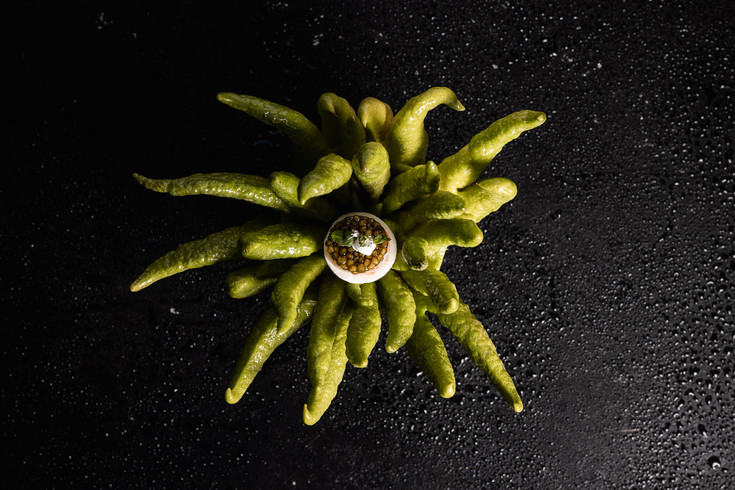 Des créations exquises à la perfection Des créations exquises à la perfection