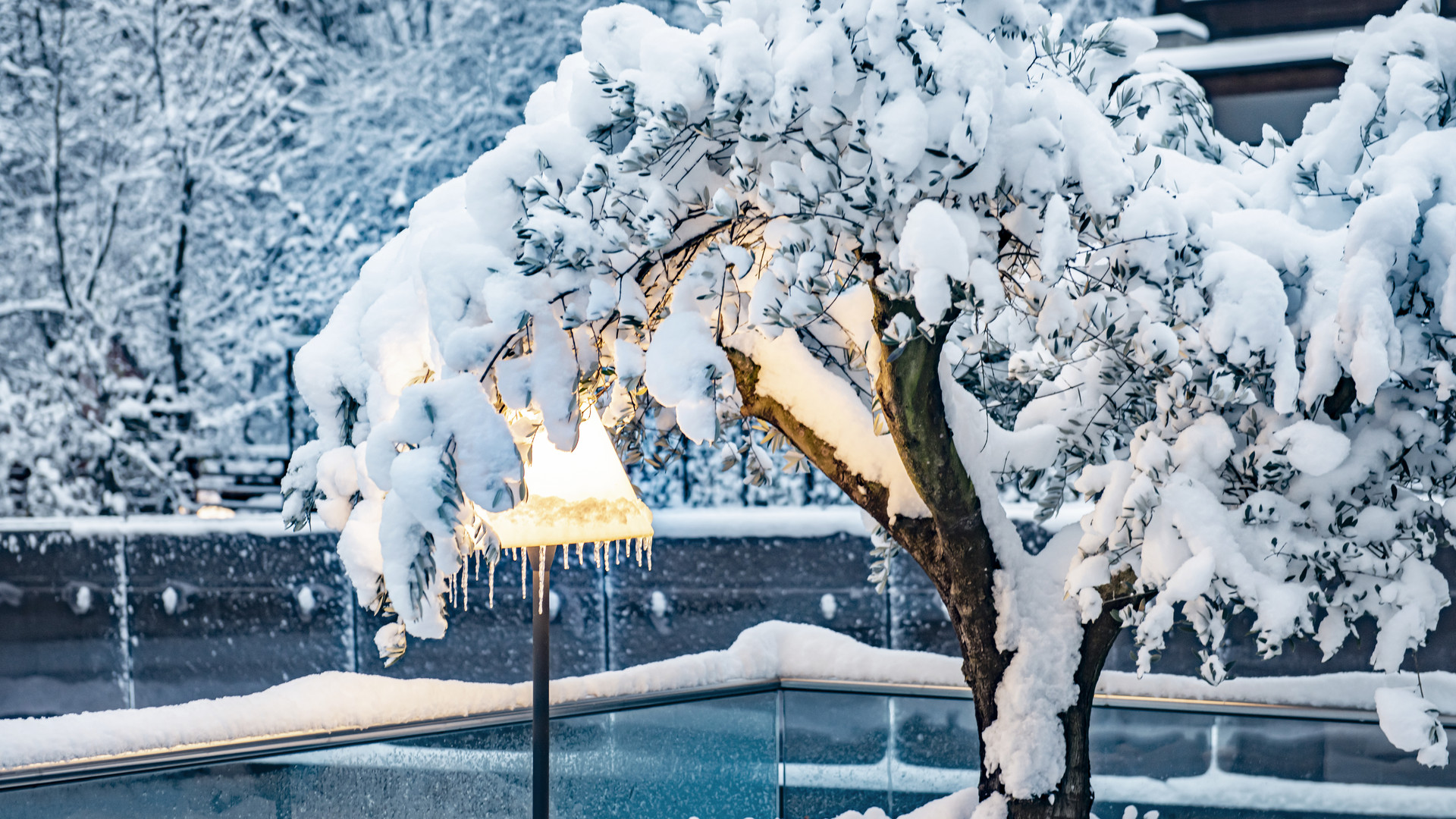 A luxury hotel near the Dolomites where dreams come true A luxury hotel near the Dolomites where dreams come true